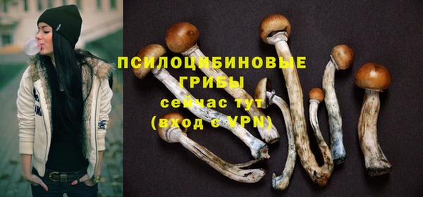 СК Аркадак