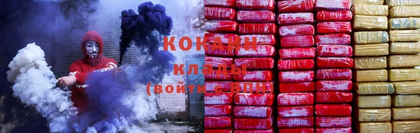 индика Балахна