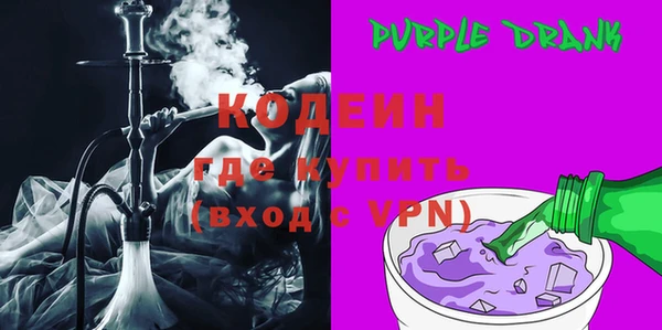 индика Балахна