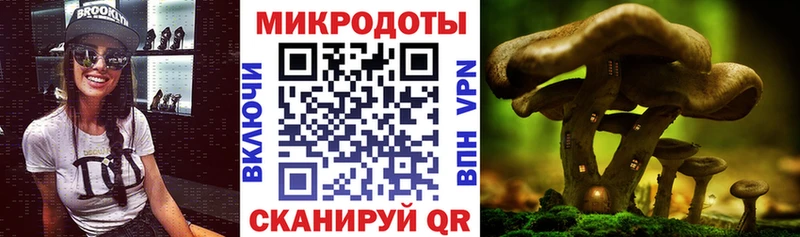 Галлюциногенные грибы Cubensis  Мценск 